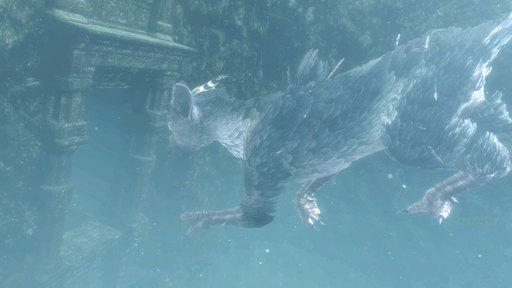 Новости - Первые скриншоты The Last Guardian